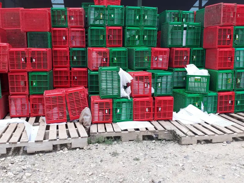重庆工业托盘高强度选型指南:注塑工艺与承重标准解读正文配图 1